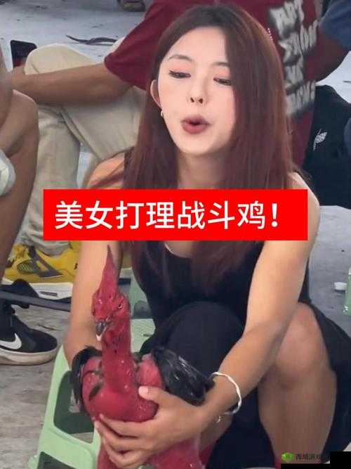 美女搞鸡软件:一场引人入胜的视觉盛宴