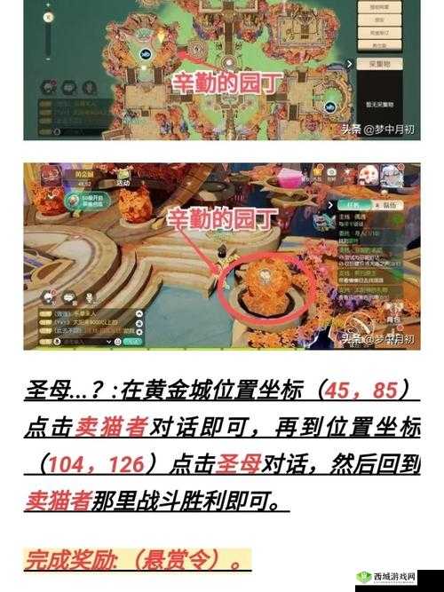 梦想新大陆出逃的灰灰任务攻略，资源管理的艺术