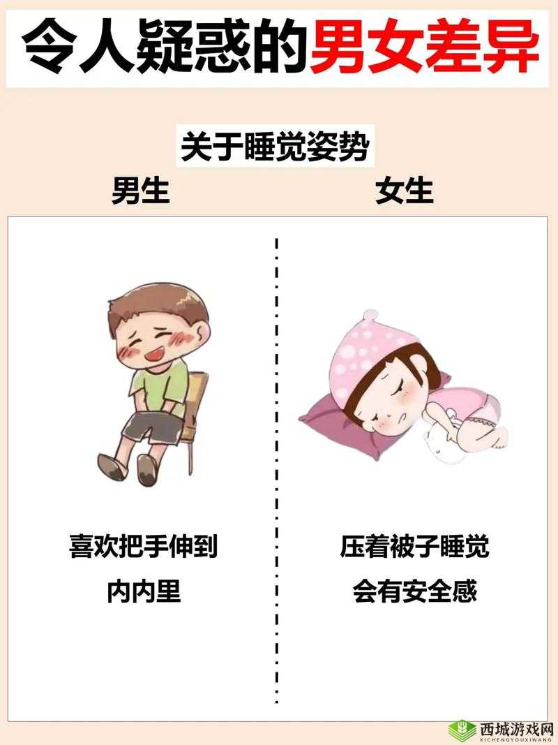 男生和女生差差差:关于男女差异的全面探讨与分析