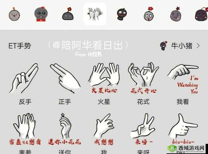 扣豆豆的手势图 100 个:详细展示与独特魅力解析