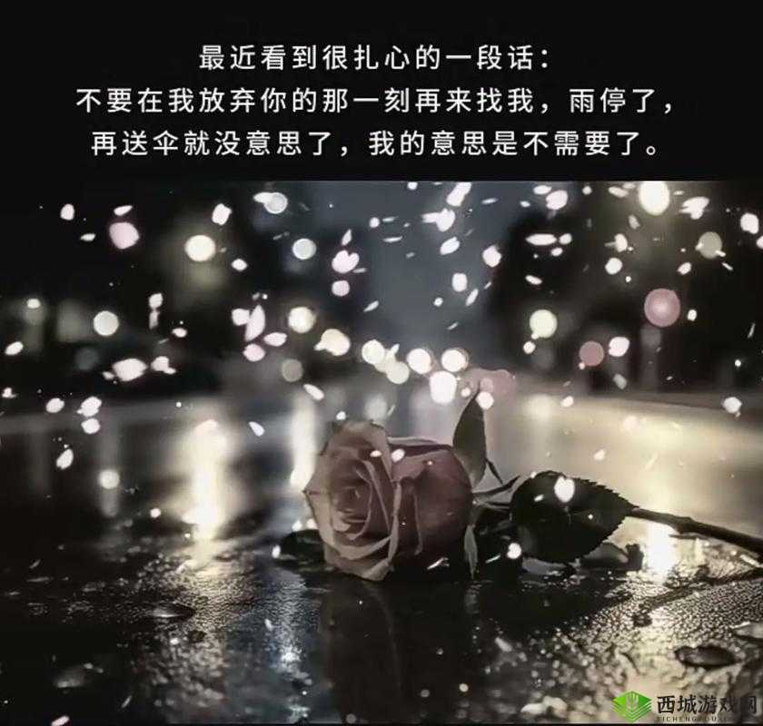 极度占有 1lvlh:执着于极致拥有的独特魅力