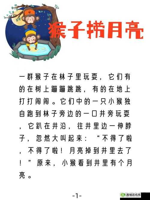 石头、窗户、猴子与月亮,编织奇幻之旅