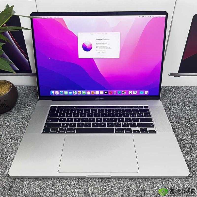 18-19 MACBOOK PRO 高清:极致视觉体验之选