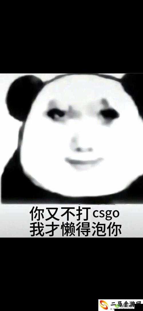 那些年暴躁老姐的CSGO心得分享视频:激情与智慧的碰撞