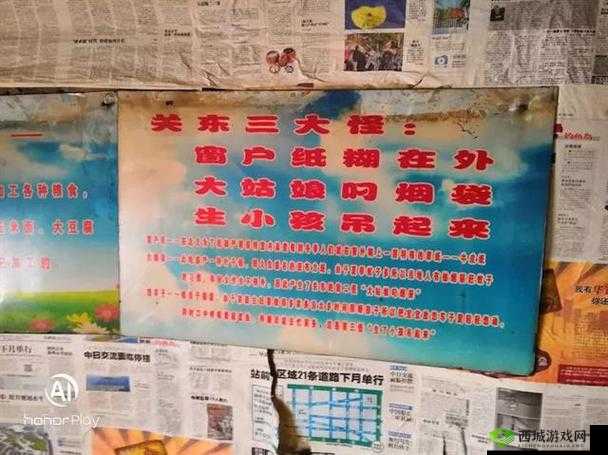 东边大炕交换：一场跨越地域与文化的交流之旅