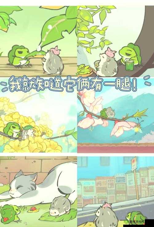 旅行青蛙中国之旅,探索羁绊背后的奇妙世界