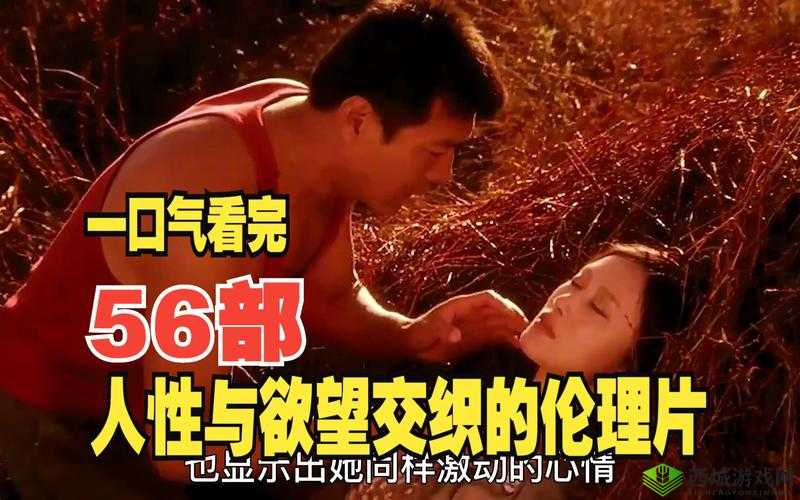 中国少妇内射:情感与欲望的交织
