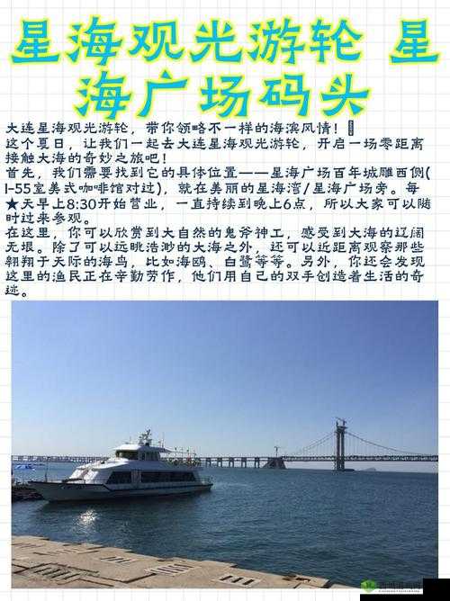 星海特攻:独特玩法大揭秘,带你领略精彩刺激之旅