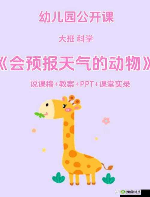 日本ZOOM 动物:关于其特征和习性的全面探讨