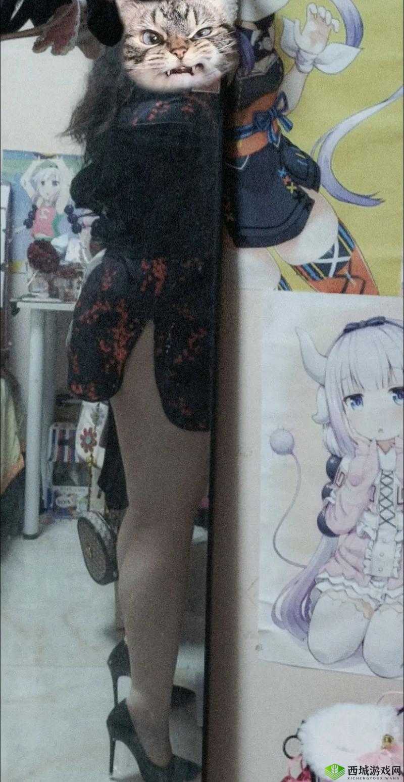 老太太老大 wBBwBBwB:一场跨越时空的奇妙冒险