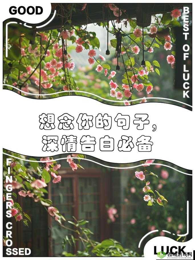 思念如潮水,今夜让我想你到天明
