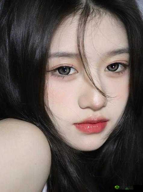 YSL 蜜桃棕调色与美妆:打造温柔甜美妆容的秘密