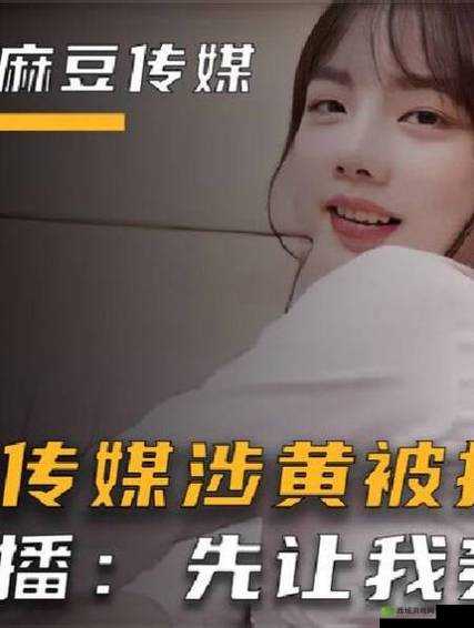 麻花豆传媒剧国产MV在线观看:精彩内容不容错过