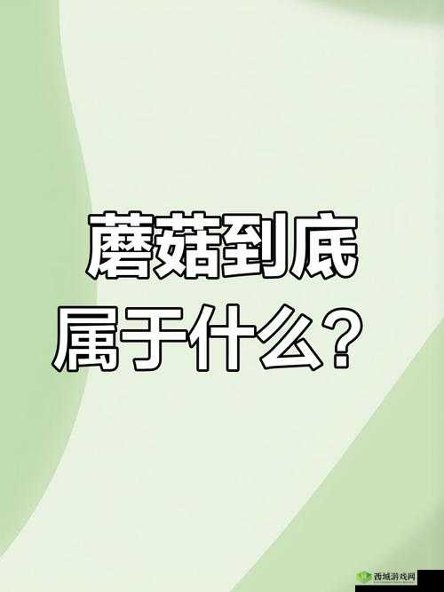 17c 独家爆料黑料蘑菇:背后真相令人震惊