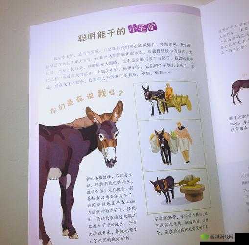 晓可耐在线:带你探索奇妙的未知世界之旅
