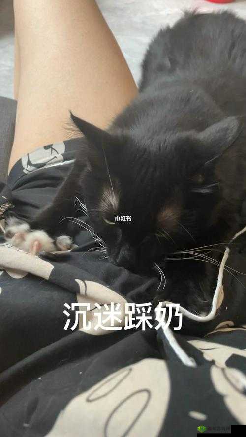 嗟嗟嗟嗟嗟嗟嗟好痛:为何会这样让人难以忍受