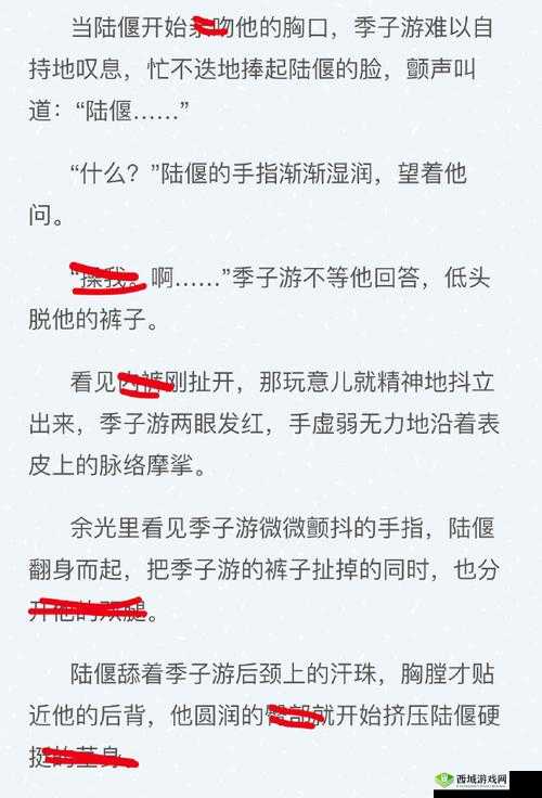 有车车的腐肉双男:一段禁忌与诱惑交织的独特故事