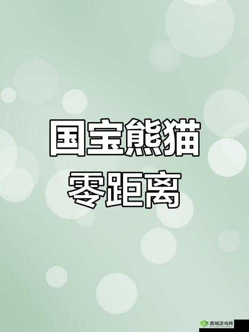 男生和女生一起差差很痛 APP 大全熊猫:探索未知的奇妙世界