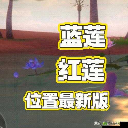创造与魔法,红蓝莲花秘境探寻,青鸟黑马轻松捕获
