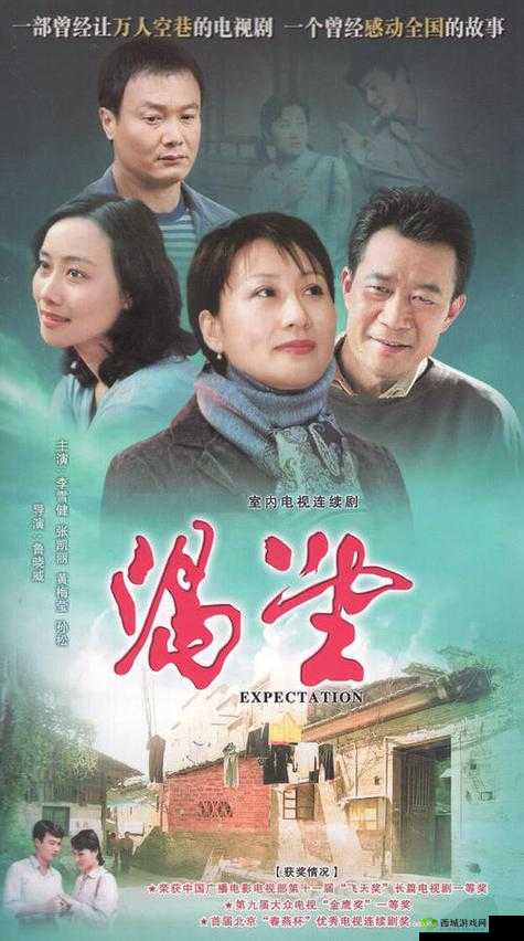 成全免费高清观看在线电视剧:满足您的追剧渴望