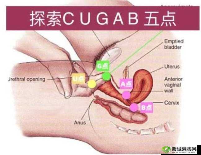 性爱的完整性:探索尤果的奇妙世界