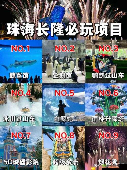游龙传说，探索多元职业，领略奇幻之旅