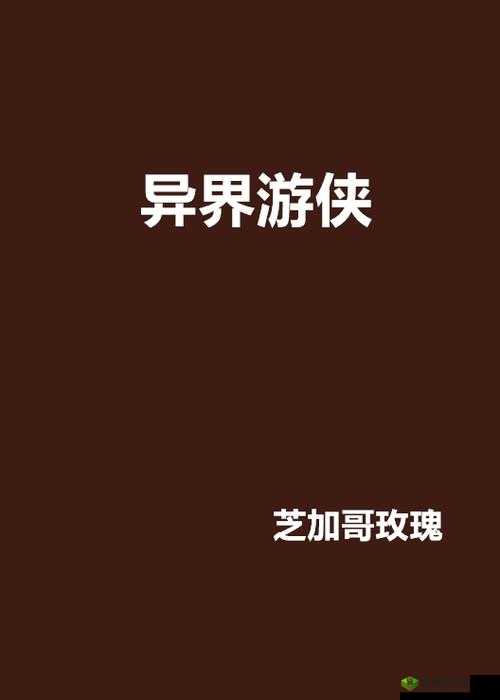 圣者之塔探秘，异界游侠灵魂收益大揭秘