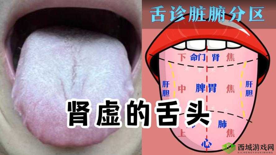 往下面放什么像舌头的东西：探寻其背后的神秘之处