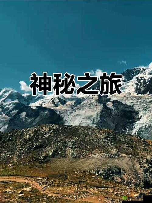 XXⅩXXXXXX98:探索未知领域的神秘之旅