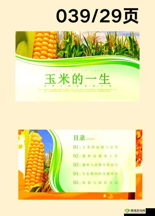 嫩草一二三 485gg :探索其独特的魅力与价值所在