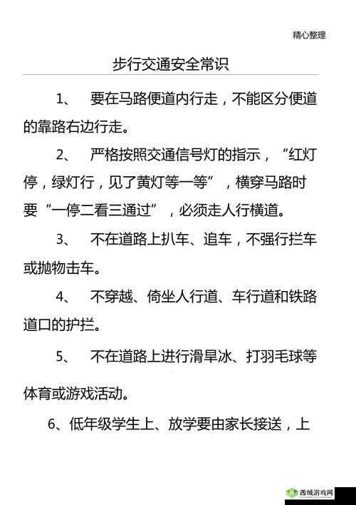 光荣使命,单排夺冠,步行与开车安全大比拼
