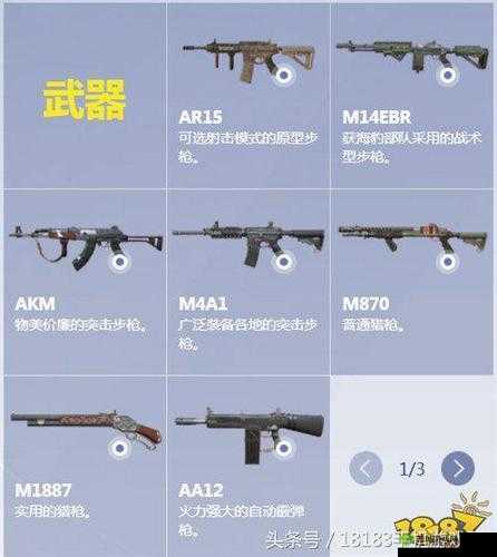 终结者2审判日步枪AR15和M4A1哪个好，资源管理、使用技巧与价值最大化
