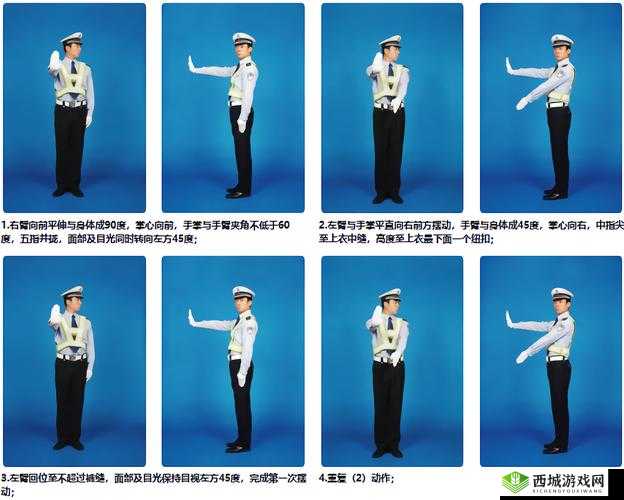 正确手势图 9 个:展现规范与指引的生动呈现