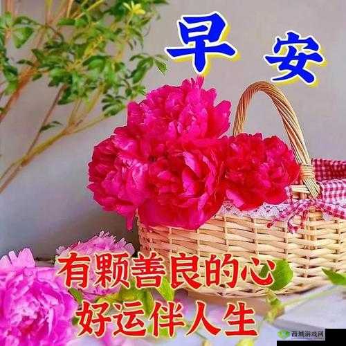 开启美好一天早上起来就装得满满的牛奶壶:带给你一天的活力与温暖