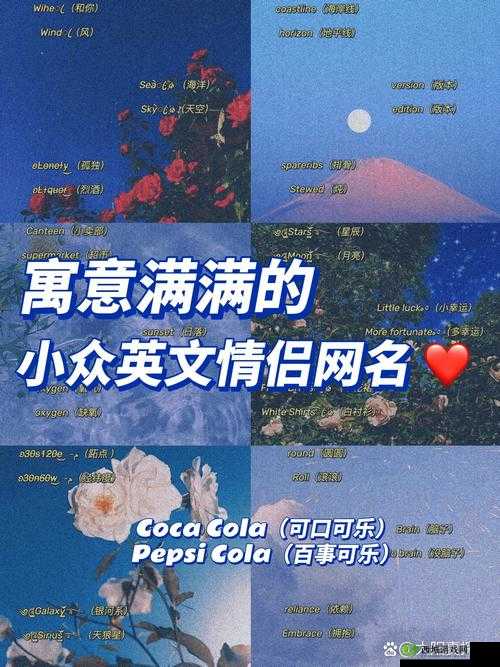 2024年欧美个性情侣网名精选:浪漫与创意并存的独特选择