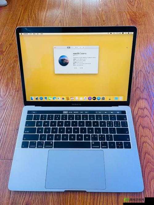 18-19款MacBook Pro全面评测:性能、设计与用户体验深度解析