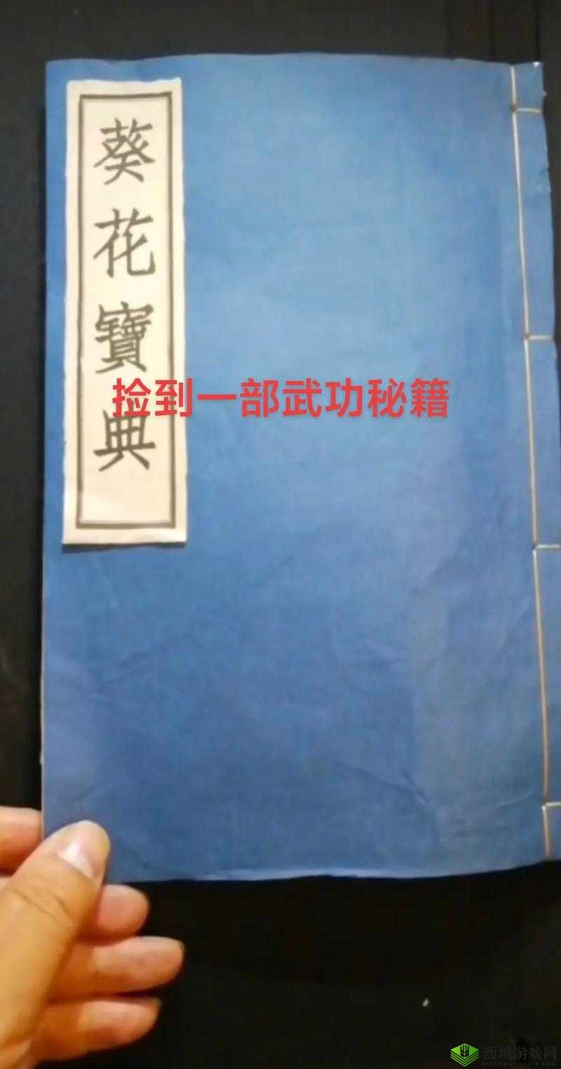 我的侠客赤刀神功,解锁绝世武功的秘籍