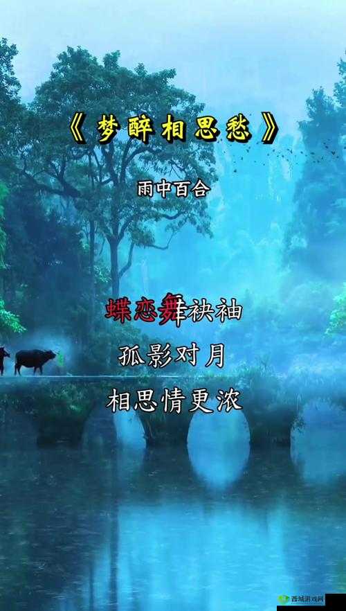 男女在一起愁愁愁的视频素材究竟哪里找?快来这里获取答案