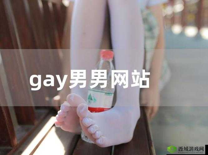 猛男GayGay✅免费网站究竟是什么?为何它如此引人关注?快来一探究竟