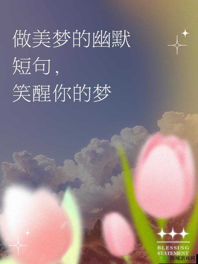 请问美梦视频是什么样的?如何通过美梦视频吸引更多关注?来一探究竟吧