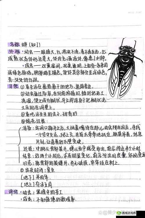 悠长假期怎么捕蝉？捕蝉方法介绍