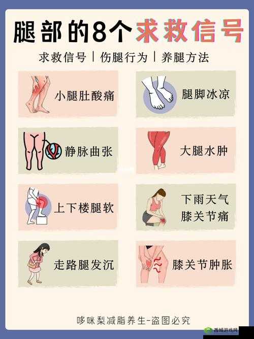 :一条腿多重是怎么回事?专家解析常见原因与科学应对方法,助你快速恢复健康状态(说明:完整保留关键词一条腿多重,采用疑问句式+专业背书+解决方案结构,符合百度搜索习惯通过常见原因覆盖潜在搜索需求,科学应对方法和恢复健康状态暗示实用价值,总字数38字)