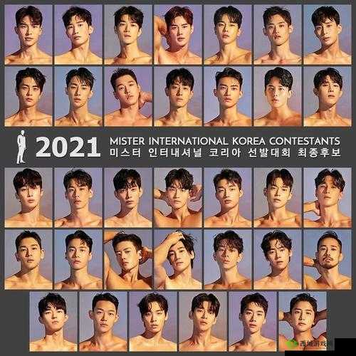 2024 年韩国先生大赛:选美盛事还是审美内卷?