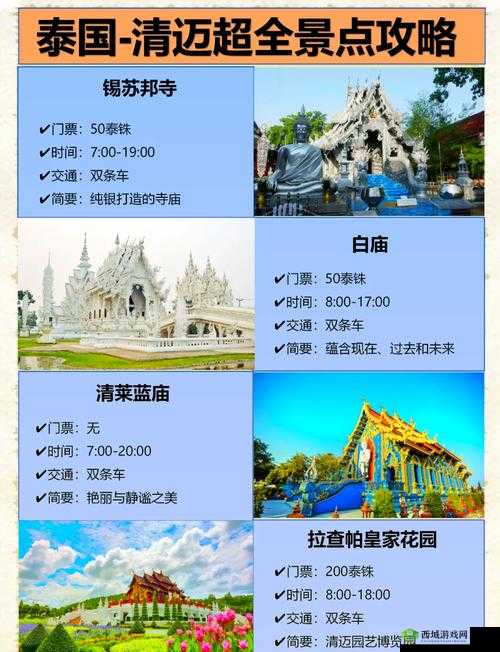 仙踪林入口欢迎你,这里有什么神秘之处?为何它如此受欢迎?