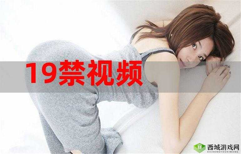 日本videos19高清HD究竟有何独特魅力?快来一探究竟