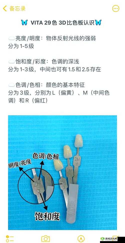 如何通过9.1色板安装步骤提升家居装修效果?详细指南与实用技巧分享