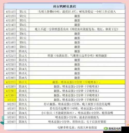 乳孔改造产卵技术:提升孵化效率与成功率的关键方法详解