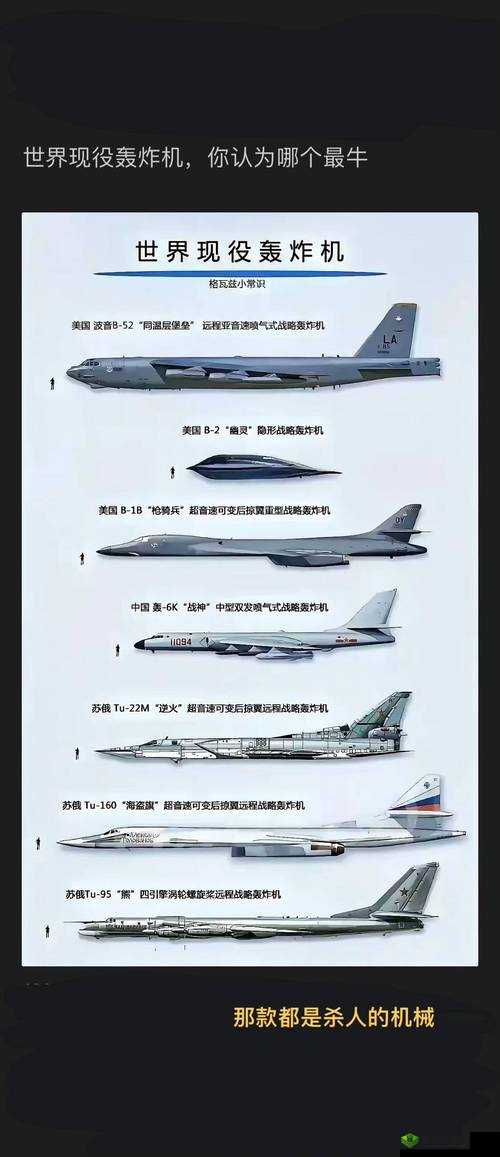恶果之地轰炸鸡怎么样？武器属性与使用技巧介绍