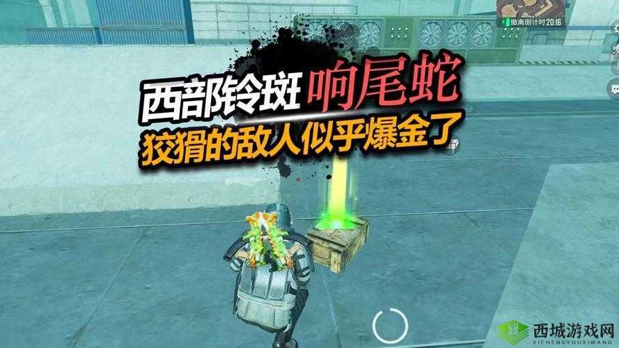 未来风暴响尾蛇怎么玩，响尾蛇玩法技巧攻略