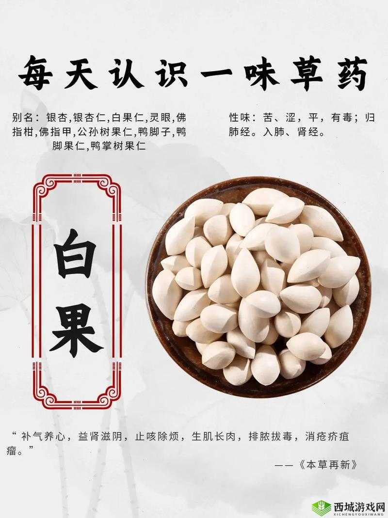 白银果实究竟有何神奇功效?如何获得这一传说中的起源之果?